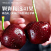 JDBMO Chilean cherries next day delivery SF/JD - door-to-door delivery Imported large cherry fresh fruit as a gift 3 pounds (net weight) Black Diamond Grade 4JJJJ Rare Fruit King