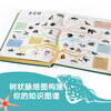 DK Encyclopedia of Wonderful Animals Children's Books Recommended Book List for Primary School Students
