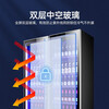 HLAOXUE Haoxue Internet celebrity commercial beer cabinet display cabinet air-cooled frost-free full-screen cabinet bar refrigerator KTV freezer wine beverage display cabinet supermarket refrigerated fresh cabinet single door red (595*660*1830 high) wine cabinet energy-saving economical model