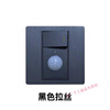 Type 86 one-open dual-control plus human body sensor switch corridor 220v intelligent LED delay panel dark gray