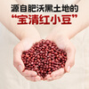 Zhanyi no-cook tapioca balls 500g + coconut pellets 40g*15 pieces + sucrose-free red adzuki beans 20g*12 packs