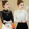 Woodpecker 2025 new spring, summer and autumn lace bottoming shirt for women with velvet to keep warm and stylish small shirt lace top long-sleeved shirt winter 886 black (style) plus velvet XL recommended 110-120 pounds