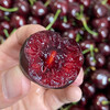 Cherry fresh Chilean imported cherries JD/SF Express next-day delivery to many places New Year's Day gift box 2.5 catties (net weight) gift box very cost-effective Big Mac JJJ 10-12g丨Big and super sweet