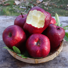 Yiyounong Gansu Tianshui Huaniu apple fresh fruit seasonal red snake noodle apple Ping An fruit Christmas fruit whole box with box 9.5-10 catties large fruit about 18-20 pieces