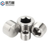 Guwanji 304 stainless steel hexagonal plug outer wire NPT pipe oil plug RC bulk head screw plug G1 inch 2 points 3 points 4 points 6 points PT1/2 (4 points) 1 piece