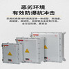 Explosion-proof distribution box, explosion-proof inspection box, junction box, explosion-proof box, explosion-proof control box, empty box, stainless steel Ling 200*200*130 explosion-proof type without openings