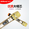 Qisheng/Qisheng Wireless Microphone One to Two Home Singing KTV Stage Performance Family K Song Karaoke Wedding Conference Metal U-segment FM Standard Edition (Set 1)