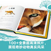 DK Encyclopedia of Wonderful Animals Children's Books Recommended Book List for Primary School Students