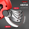 Delixi Electric Electric Scissors Fruit Tree High-altitude Pruning Shears Rechargeable Telescopic Pole Pruning Shears Tree Scissors Gardening Scissors Electric Agricultural Tools Can Cut 3.3 Meters High 4.0 Brushless One Electric