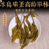 Mingguan Zhongpin Mingguan Zhongpin 2021 Iceland Bawai senior single ancient tree loose tea Yunnan ancient tree loose tea 500g