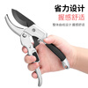 Otis pruning shears, branch scissors, gardening shears, flower and fruit tree shears, extended flower shears, garden lawn shears, special tools, black metal pruning shears, promotional models