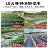 Silver and black two-color mulch film, new material, thickened insect-proof reflective mulch film, weeding film, thermal insulation agricultural mulch film, silver and black 10 pounds, 1.2 silk, thick, 1.2 meters wide, 260 meters long