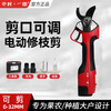 Nakamura Ichiro electric scissors, fruit tree pruning shears, household rechargeable branch pruning scissors, lithium battery thick branch shears 16.8V-32MM upgraded model with two batteries 2.5Ah-8302