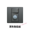 Type 86 one-open dual-control plus human body sensor switch corridor 220v intelligent LED delay panel dark gray