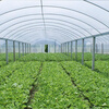 Nongyumeng agricultural film po non-drip film transparent thickened thermal insulation crystal film high light transmittance vegetable greenhouse clinker breeding film 10S thick 6*1 meters