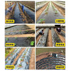 Agricultural mulch plastic film black mulch film planting weed control weed insulation moisturizing orchard fruit tree planting land vegetables 5 pounds black 1 silk thick 0.6 meters wide 350 meters long