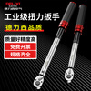 Delixi torque wrench high-precision torque kilogram wrench fixed torque adjustable spark plug auto repair wrench