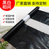 Nongyumeng agricultural film planting mulch film home dust-proof film plastic cloth plastic film disposable white film white film 1.2 meters wide * 150 meters 4.9 pounds