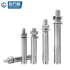 Guwanji M6-M20 national standard 304/201 stainless steel expansion bolt inner expansion blasting tube extended explosion screw outer tube 304 material M10x100 (2 pieces)