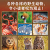 Cute wild animal set, all 5 volumes, paperback, high-definition photography, interesting stories, popular science knowledge about animals, real animal life scenes, kindergarten enlightenment picture books for children aged 3-6, encyclopedia, winter vacation extracurricular reading books