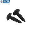 Guwanji PWA black round head self-tapping screws with pad 304 stainless steel large cap pan head cross with meson self-tapping small screws 304 black M2.6x6x6 (100 pieces)