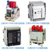 Changshu intelligent frame circuit breaker CW1-2000A-2500A-3200A-4000A 2000A 3P fixed
