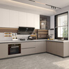 Sophia Cabinet Modern Simple Quartz Stone Countertop Stove Cupboard Integrated Cabinet Kitchen Storage Cabinet Complete