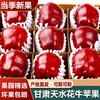 Yiyounong Gansu Tianshui Huaniu apple fresh fruit seasonal red snake noodle apple Ping An fruit Christmas fruit whole box with box 9.5-10 catties large fruit about 18-20 pieces