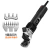 Xingshi electric wool shears, electric clippers, high power and labor-saving shearing clippers, shearing electromechanical scissors, fixed speed shearing shears (original 9 straight tooth knife)