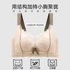Catman Underwear Female Sexy Lace Small Breast Push-up Bra Top-up Anti-sagging No Wire Ring Push-up Bra Skin Color 34AB