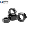 Guwanji black 304 stainless steel hexagonal nut nut screw cap large national standard fastener M8 10 pieces