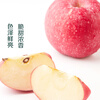 Directly harvested from the origin, 4 pieces of Gansu Qin'an Frost Fuji apples, about 900g