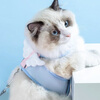 Nervous cat (shenjingmao) cat leash, anti-breakaway cat leash, cat leash, small dog pet, high-looking cat leash, angel big-eared dog S small (applicable within 4 pounds)