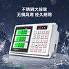 ZHIZUN electronic scale for weighing goods, commercial platform scale for setting up stalls, electronic weighing floor scale, waterproof seafood aquatic product express scale, 150kg table top 31*41, the whole machine is rust-resistant and fully waterproof