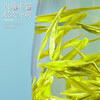 Chen Yifan Green Tea 2025 New Tea Anji Baiye No. 1 White Tea First Class 250g Mingqian New Tea