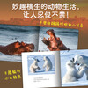 Cute wild animal set, all 5 volumes, paperback, high-definition photography, interesting stories, popular science knowledge about animals, real animal life scenes, kindergarten enlightenment picture books for children aged 3-6, encyclopedia, winter vacation extracurricular reading books