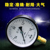 Pressure gauge Y100 ordinary Y60Y150 radial thread M20 hydraulic oil pressure air pressure gauge 0-1.6Mpa Y-100