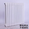OEMG radiator household water heating radiator bathroom radiator wall-mounted steel two-column centralized heating wall-mounted furnace color main picture