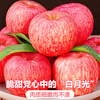 Jingdi Dalochuan apple net weight 7.2 catties single fruit 180g + Shaanxi Red Fuji apple gift box direct from source with free shipping