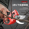 Delixi Electric Electric Scissors Fruit Tree High-altitude Pruning Shears Rechargeable Telescopic Pole Pruning Shears Tree Scissors Gardening Scissors Electric Agricultural Tools Can Cut 3.3 Meters High 4.0 Brushless One Electric