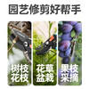 Prund pruning shears, pruning shears, flower branch shears, fruit tree shears, gardening scissors, branch shears, flower tree pruning shears, 9-inch pruning shears, labor-saving shears