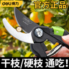 Deli branch shears, pruning shears, fruit branch scissors, garden fruit tree and flower scissors, potted green plants, gardening shears, grafting special, can cut 13mm fruit branches, classic style