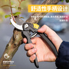 Deli branch shears, pruning shears, fruit branch scissors, garden fruit tree and flower scissors, potted green plants, gardening shears, grafting special, can cut 13mm fruit branches, classic style