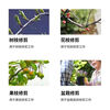 German imported tree shears, fruit tree shears, durable multi-functional pruning shears, flower scissors, flower pruning shears, German imported SK5 steel - pulley steel blade shears for activities