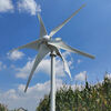 Vinoa's new 1kw wind turbine household wind and solar complementary wind turbine type wind turbine 300 watt 5 blades with controller