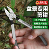 Jingyouyu bonsai special tools gardening pliers, pruning scissors, water mouth pliers, potted plant making shape, leaf bud shears, floral green plants, elbow, white pruning shears