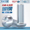 Tianzhuo Hardware Carbon Steel Grade 4.8 Galvanized Cross Recessed Iron Pan Head Screws Large/Round Head Screws MM3M4M5M6M8 GB818-85 M4*20-100 pieces