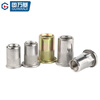 Guwanji 304 stainless steel flat head rivet nut galvanized flat head column striped rivet nut knurled countersunk head pull nut flat head rivet nut M6 50 pieces - colored zinc material