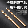 DELIXI ELECTRIC high hardness twist drill bit stainless steel alloy steel high speed steel drilling DLX-042 3.2mm
