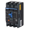 Chint Molded Case Circuit Breaker 3P 125A Air Switch NXM-125S/3300